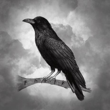 As the Crow Flies | Boomplay Music