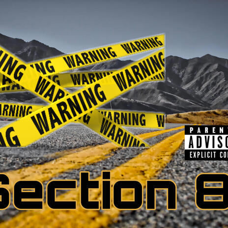 Section 8 (Radio Edit)