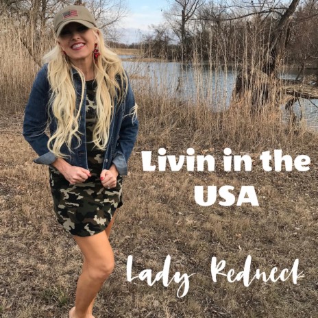 Livin In The USA | Boomplay Music