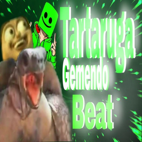 Tartaruga Gemendo | Boomplay Music