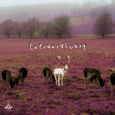 Extraordinary | Boomplay Music