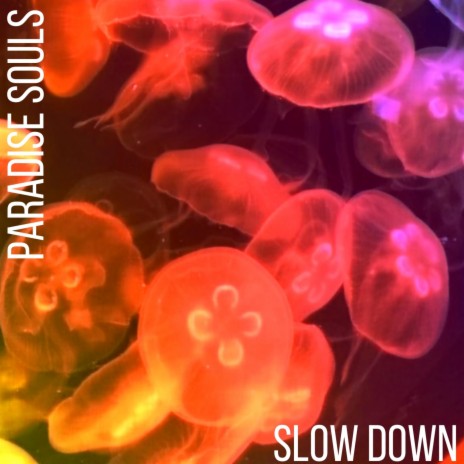SLOW DOWN | Boomplay Music