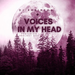 Voices in my head