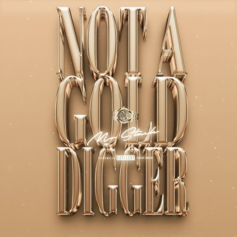 Not A Gold Digger | Boomplay Music