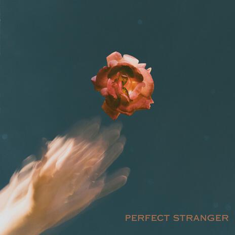 Perfect Stranger | Boomplay Music