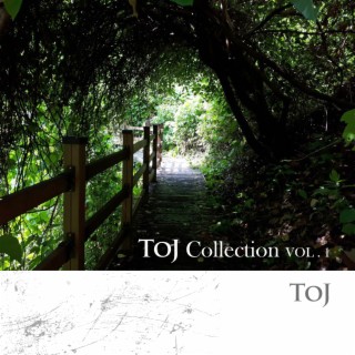 Toj Collection VOL. 1