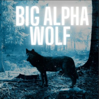 BIG ALPHA WOLF