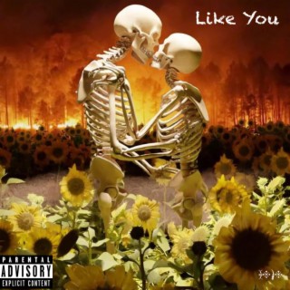 Like You