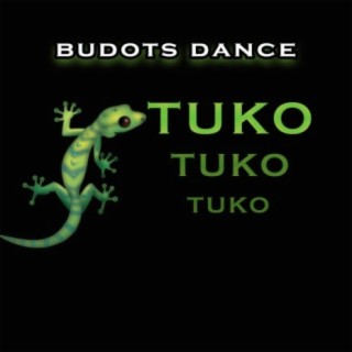 Tuko lyrics | Boomplay Music