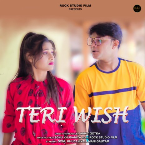 Teri Wish (feat. Ankit Gotka) | Boomplay Music