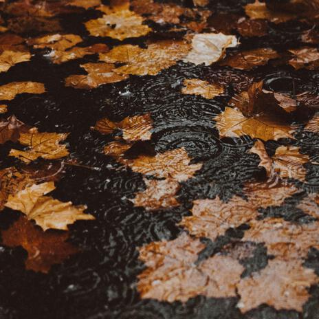 rainy autumn walk | Boomplay Music