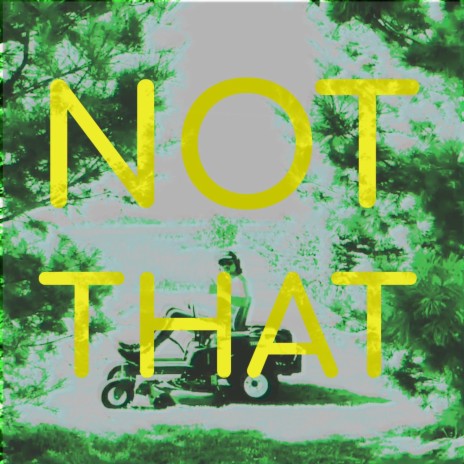 Not That | Boomplay Music