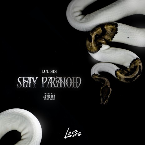 Stay Paranoid | Boomplay Music