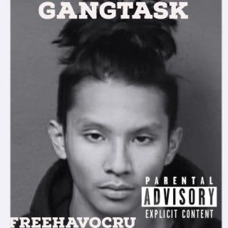 Gang Task(free Havoc)