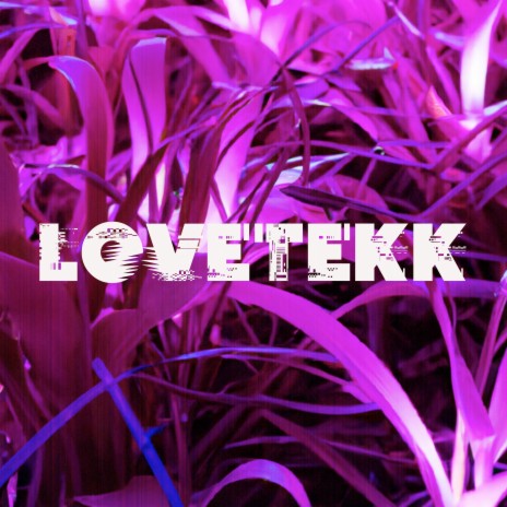 Lovetekk ft. Rütekker & Habentub