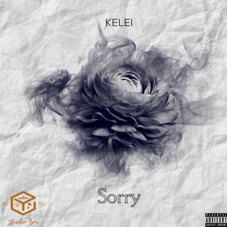 Sorry (Radio Edit) | Boomplay Music