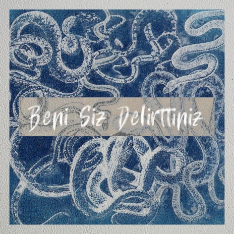 Beni Siz Delirttiniz | Boomplay Music