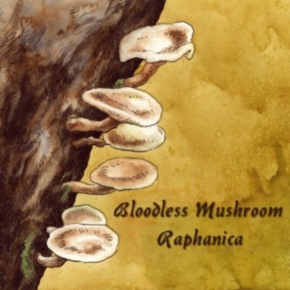 Bloodless Mushroom