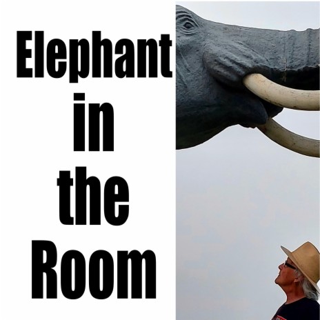 Elephant In The Room