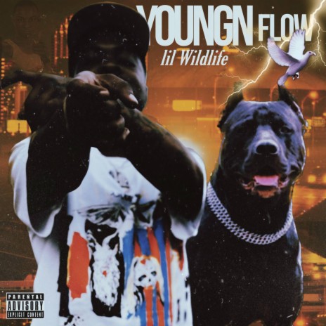 Youngn Flow/ 2cd Feed Up