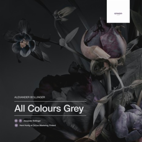 All Colours Grey | Boomplay Music