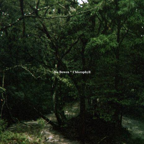 Chlorophyll | Boomplay Music