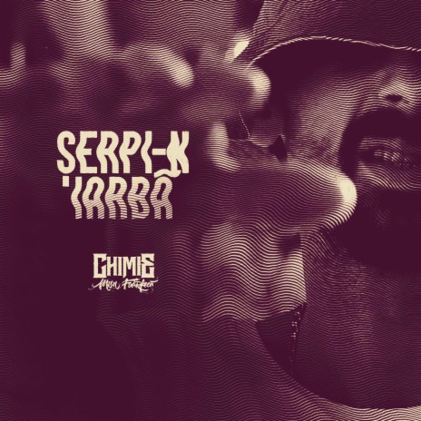 Serpi-n Iarba | Boomplay Music
