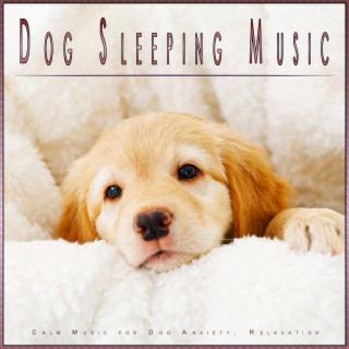 Dog Sleeping Music: Calm Music for Dog Anxiety, Relaxation