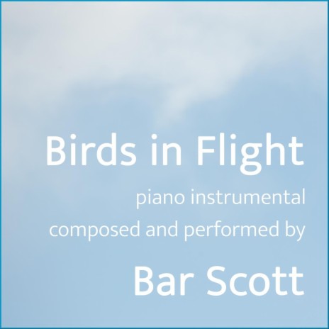 Birds in Flight | Boomplay Music