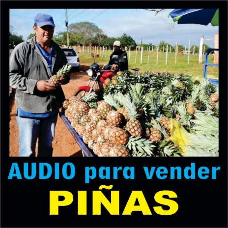 Audio para vender piña