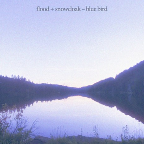 blue bird (feat. snowcloak) | Boomplay Music