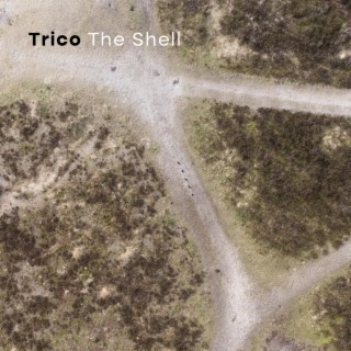 The Shell