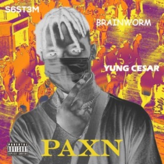 Paxn