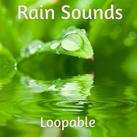 Soothing Rainfall in Spring Loopable