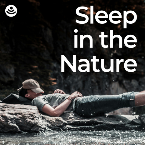 Gentle Creek Sleep ft. Nature Radiance & Epic Nature | Boomplay Music