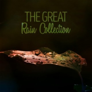The Great Rain Collection