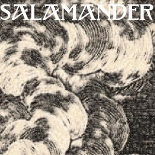 Salamander