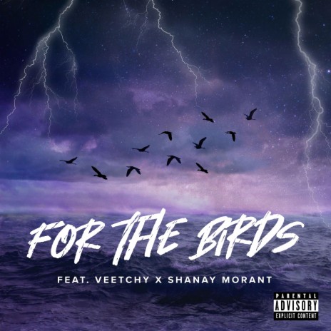 For The Birds ft. Veetchy & Shanay Morant | Boomplay Music