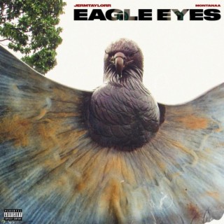 Eagle Eyes