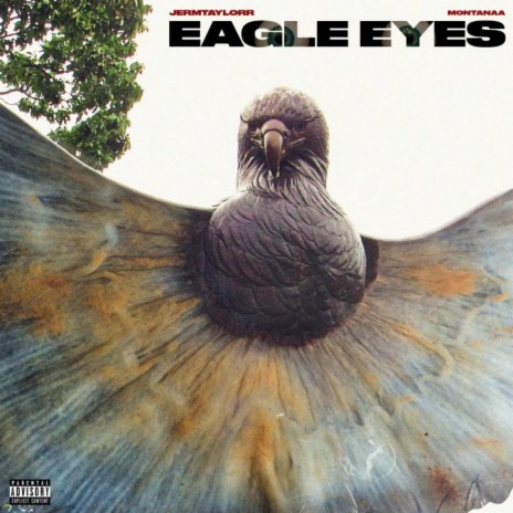 Eagle Eyes ft. jermtaylorr | Boomplay Music