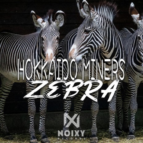 Zebra | Boomplay Music