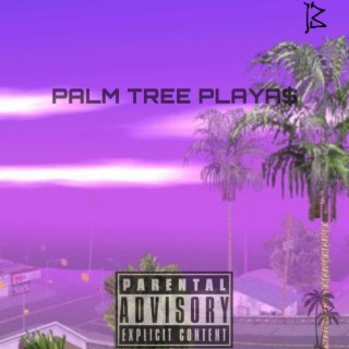 PALM TREE PLAYA$ lyrics | Boomplay Music