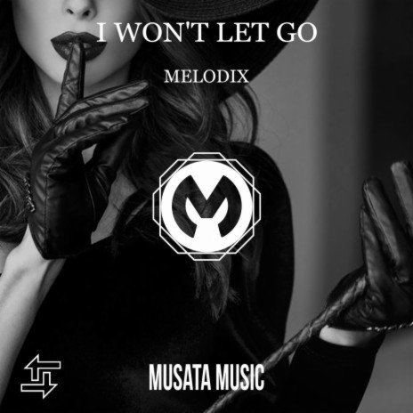 I Won't Let Go | Boomplay Music