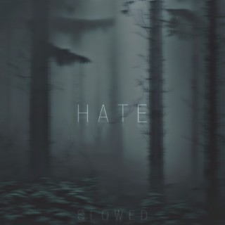 Hate (Slowed)
