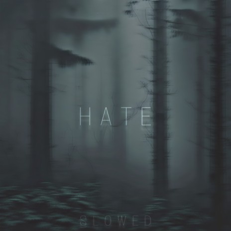 Hate (Slowed) | Boomplay Music