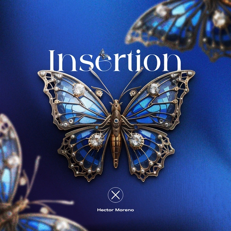 Insertion | Boomplay Music