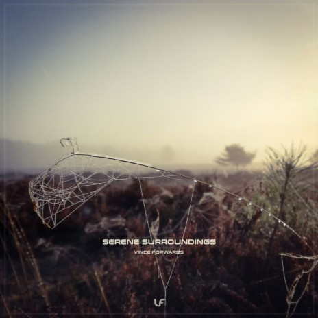 Serene Surroundings | Boomplay Music