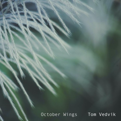 October Wings | Boomplay Music