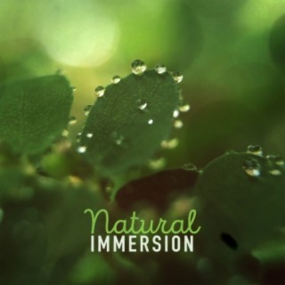 Natural Immersion