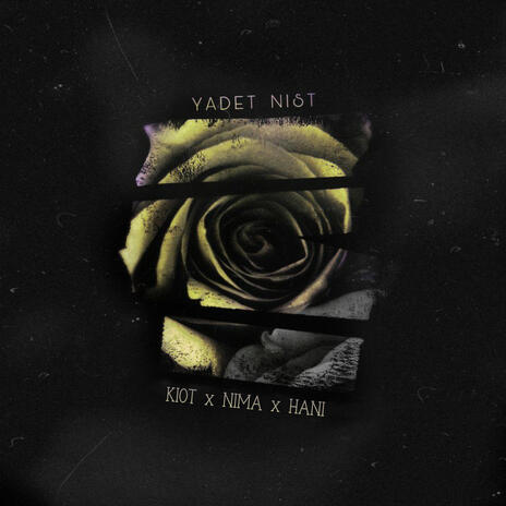 Yadet Nist ft. Nima & Hani | Boomplay Music